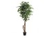 FICUS TREE NP5209_180 ΥΨΟΣ 180cm NewPlan FICUS TREE NP5209_180 ΥΨΟΣ 180cm NewPlan