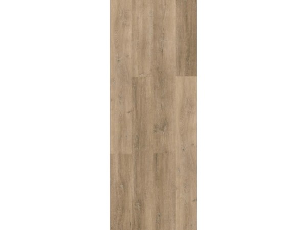 FORTIKA SPC ΒΙΝΥΛΙΚH ΛΩΡΙΔΑ 5mm 1304 NewPlan FORTIKA SPC ΒΙΝΥΛΙΚH ΛΩΡΙΔΑ 5mm 1304 NewPlan