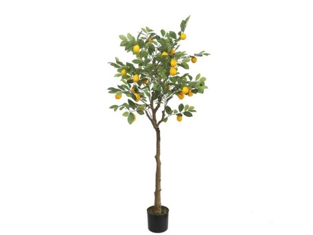 LEMON TREE  NP_30_170  ΥΨΟΣ 170cm NewPlan
