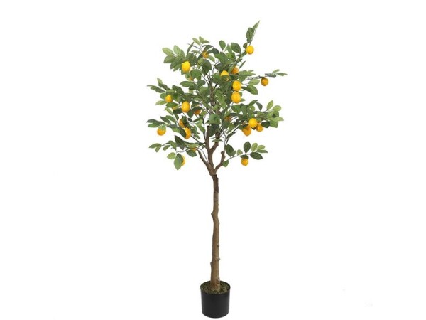 LEMON TREE  NP_30_170  ΥΨΟΣ 170cm NewPlan