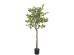 LEMON TREE  NP_30_170  ΥΨΟΣ 170cm NewPlan