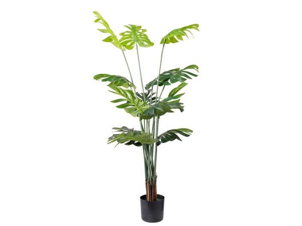 MONSTERA NP6314_155_22 ΥΨΟΣ 155cm NewPlan MONSTERA NP6314_155_22 ΥΨΟΣ 155cm NewPlan