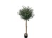 OLIVE TREE NP5807_150_22_UV ΥΨΟΣ 150cm NewPlan OLIVE TREE NP5807_150_22_UV ΥΨΟΣ 150cm NewPlan