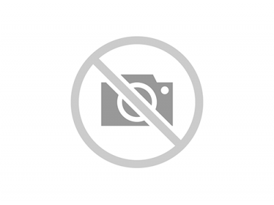 Wall Object Various 66cm