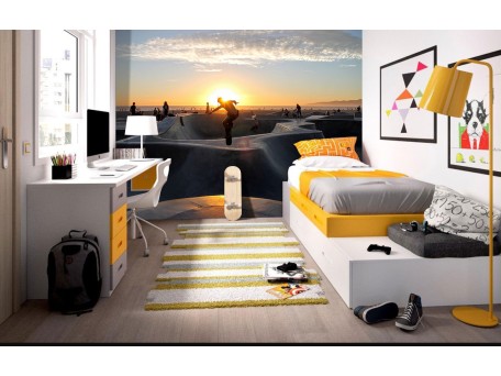 Φωτοταπετσαρία Σκέιτμπορντ 1