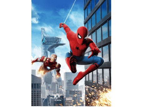 Φωτοταπετσαρία Spiderman 13