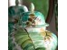 Artekko Palm Διακοσμητικό Δοχείο με Καπάκι Πορσελάνης Λευκό/Πράσινο (38x38x44.5)cm