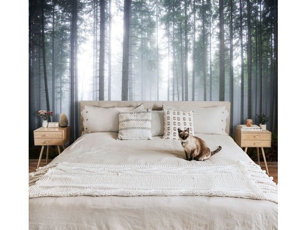 Φωτοταπετσαρία Misty Forest Φωτοταπετσαρία Misty Forest