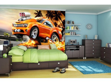 Φωτοταπετσαρία Hot Wheels 1
