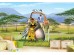 Φωτοταπετσαρία Madagascar 4 Φωτοταπετσαρία Madagascar 4