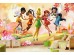 Φωτοταπετσαρία Tinkerbell 2 Φωτοταπετσαρία Tinkerbell 2