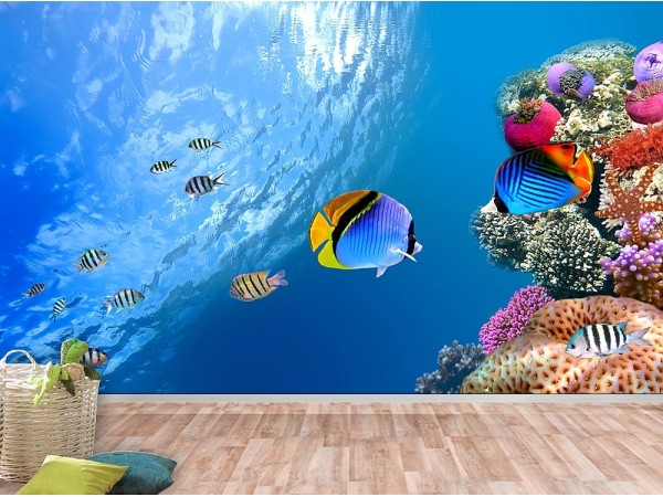 Φωτοταπετσαρία Βυθός 3 Φωτοταπετσαρία Βυθός 3